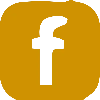 La Nouvelle Garde - Facebook orange