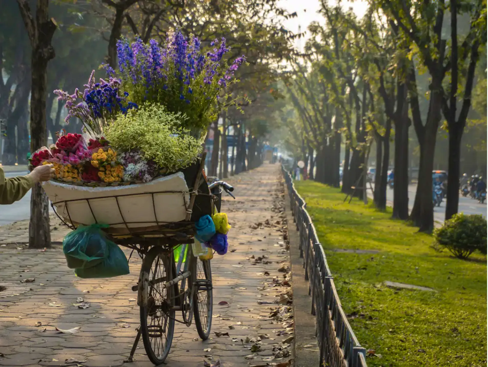 Eco-responsible delivery Because every action counts, our deliveries are made on foot, by bicycle or by cargo bike, to limit the carbon impact and preserve our beautiful planet.