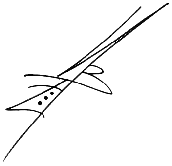 Heston Blumenthal signature