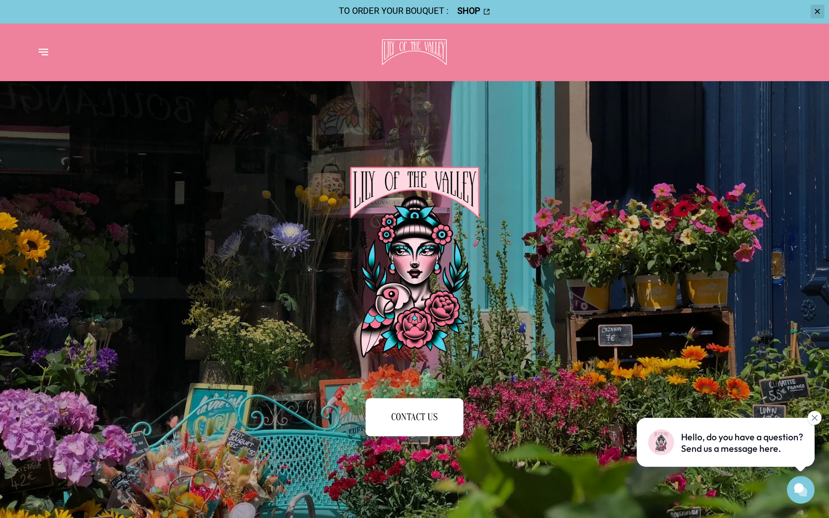 lilyenligne.shop desktop